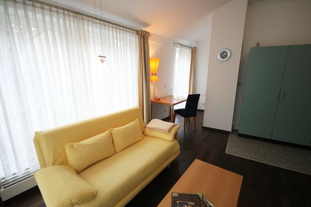 Exklusiv möblierte Wohnungmit Terrasse in direkter Rheinlage - Photo 1