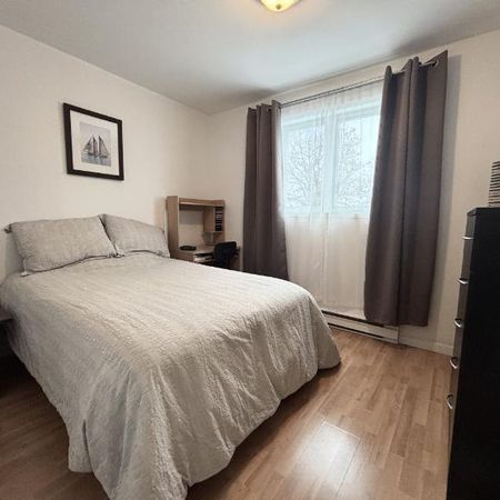 Appartement 3 ½ à louer Beauport juillet 2026 - Photo 3