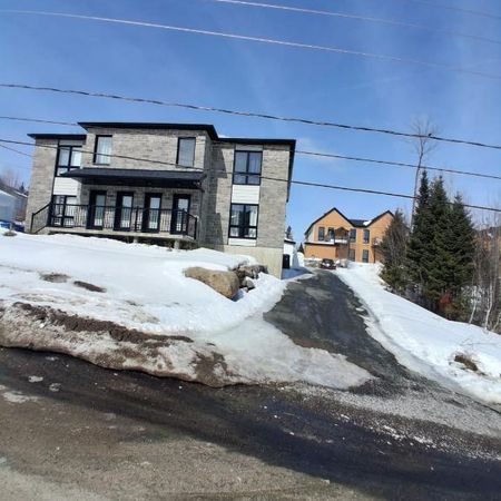 Magnifique logement 4 ½ neufs à louer – Saint-Donat-de-Montcalm - Photo 3