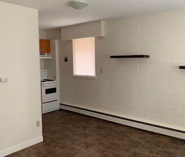 1 BDRM/1 BATH - 1909 7TH ST E - Available FEB 1 - Photo 2