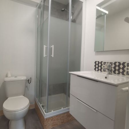Location Appartement 1 pièce 17m² RENNES 35000 - Photo 3