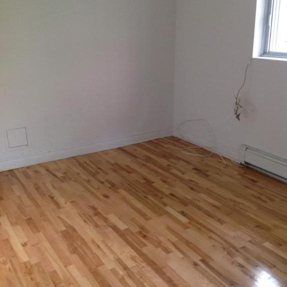 1 CH - 1 SDB - Montréal - $1,250 /mo - Photo 1