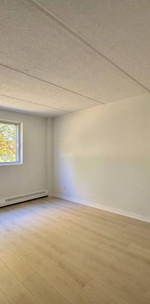 Grand appartement éclairé et chauffé - Photo 1