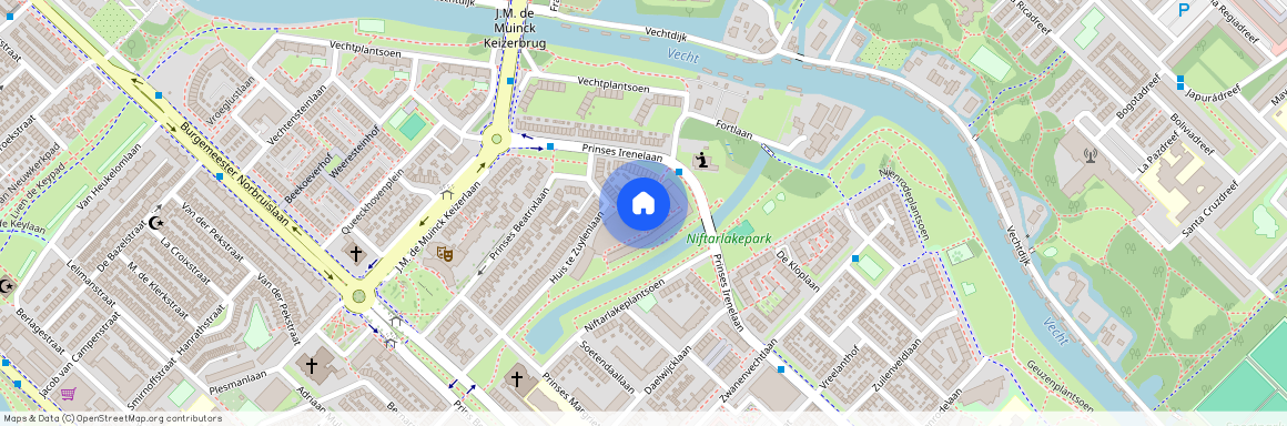 Schaakbuurt en omgeving, 3554 HW, Prinses Ireneplateau, Utrecht