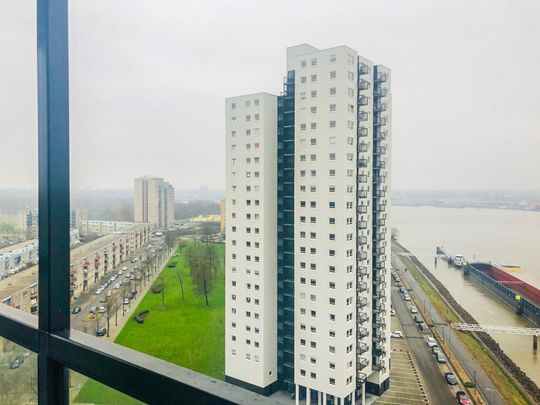 Te huur: Appartement Watertorenweg in Rotterdam - Photo 1