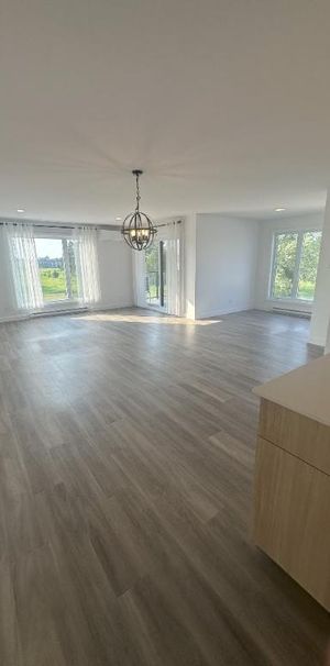 St-Hyacinthe, Logement à louer LIBRE IMMÉDIATEMENT (voir inclusions) - Photo 1