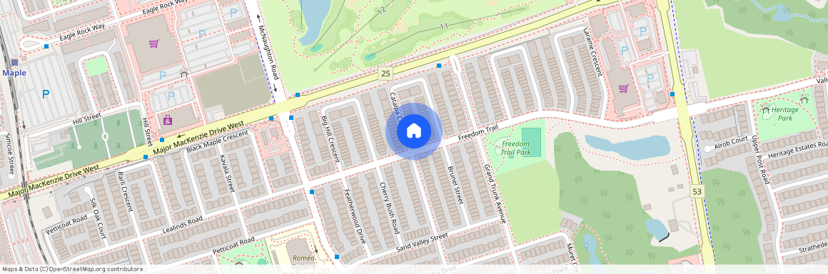 118 Catalpa Crescent Unit# bsmnt, Vaughan