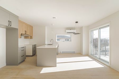 Appartement - 04-2589 Rue De Lorimier - Photo 4