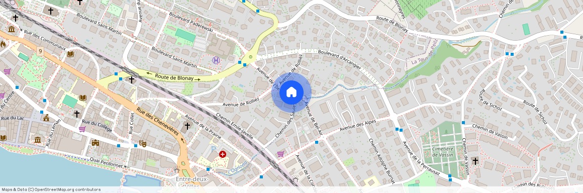 Avenue de l' Ile-Heureuse 1, 1800 VEVEY