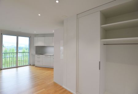 New construction Ankenbüel: Cozy and sunny apartment! - Photo 3