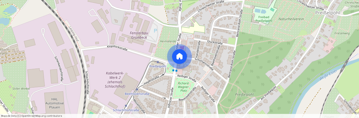 Schumannstr. 2, 08525 Plauen