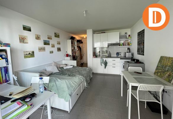 Location Appartement 1 pièce 23m² - Photo 1