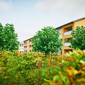 Bøgeparken - Photo 2