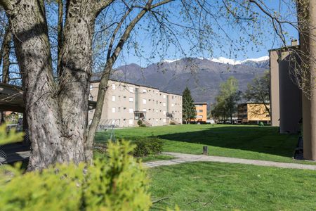 Spazioso e luminoso 1.5 locali immerso nel verde - Foto 4