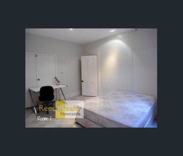 STUDENT HOUSE IN NEWCASTLE CBD - Photo 2