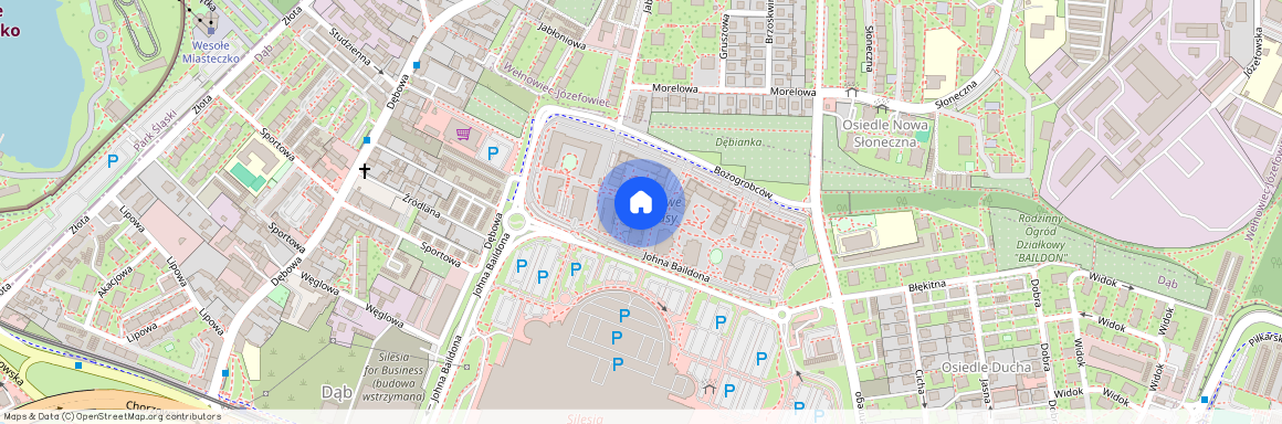 ul. Johna Baildona, Dąb, Katowice, śląskie