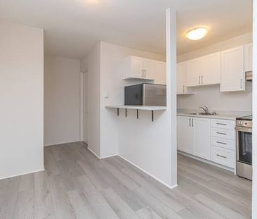 Renovated Bachelor pet friendly near Oak Bay Junction - Photo 1