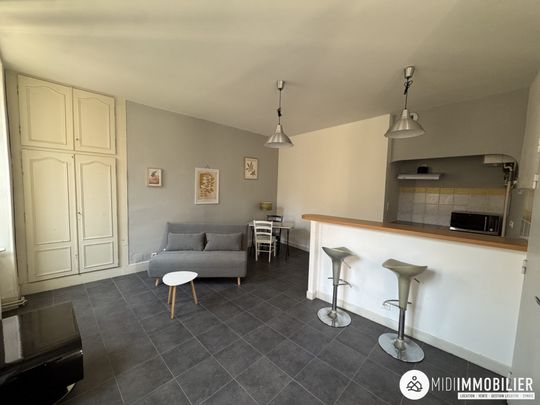 Location Appartement 2 pièces 36m² ALBI 81000 - Photo 1