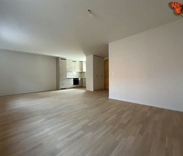 3.5 Zimmer, EG - Photo 1
