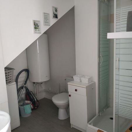 Location Appartement 1 pièce 21m² - Photo 3