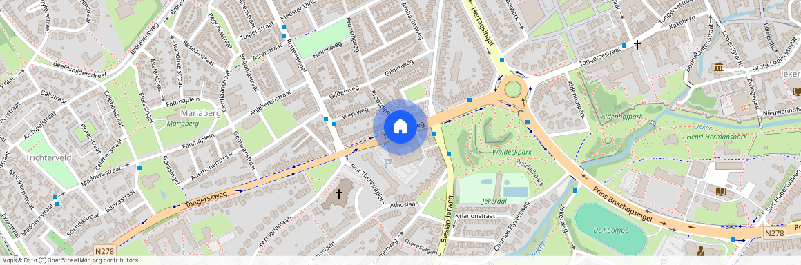 Biesland, 6213 GA, Tongerseweg, Maastricht