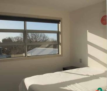 Wonderful on Worcester - Photo 3