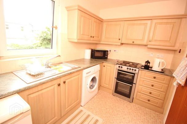 6 Ascot House, Windsor Avenue North, Belfast, BT9 6EL - Photo 1