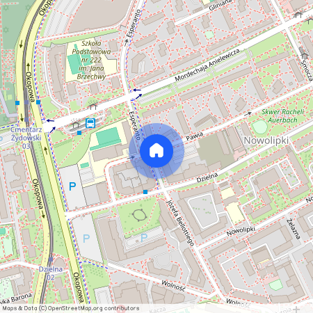ul. Dzielna, Nowolipki, Wola, Warszawa, mazowieckie