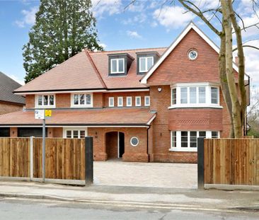 A magnificent, detached, new build, family home of over 9,000 sqft, spread over four floors. - Photo 1