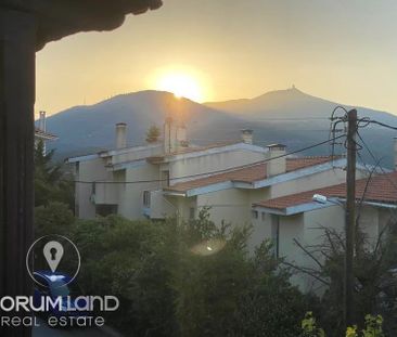 Μονοκατοικία προς Ενοικίαση 330 τ.μ. - 2.500€ - Φωτογραφία 3
