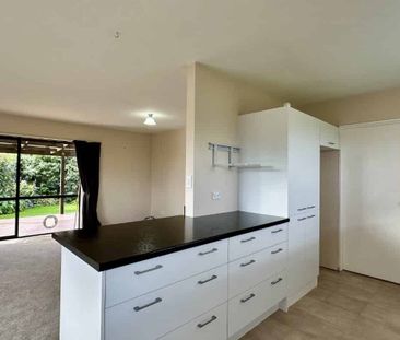 Charming Tinwald Property - Photo 3