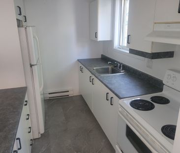 GRAND 3 & ½, TRÈS FENESTRÉ - Photo 3