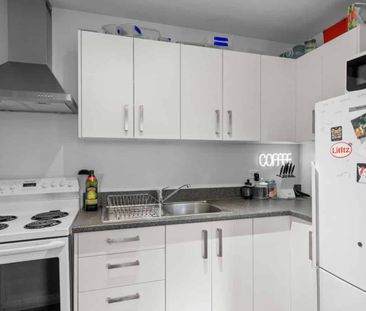 Modern 2-Bedroom Flat in the Heart of Aro Valley - Photo 2