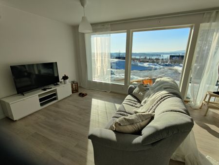 Vikstaberget, Forsa - Photo 4
