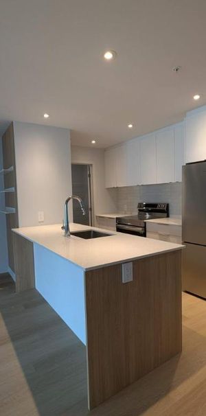 2 CH - 1 SDB - Montreal - $2,260 /mo - Photo 1