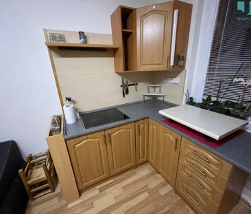 nabízí, pronájem, byty 3+kk Novodvorská, Třebíč - Nové Dvory - Fotografie 5