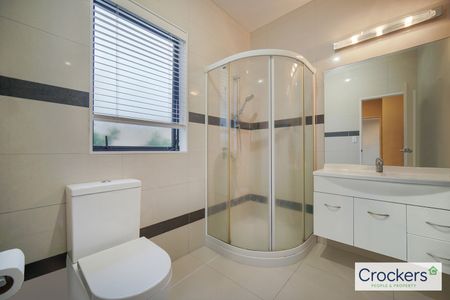 Just in time for Christmas - Photo 3