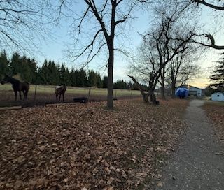 For Lease - 4922 First Line, Erin, Ontario - Photo 5