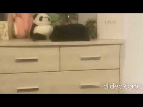 Modern 2-bedroom Apartment in Hamilton CBD - Photo 1