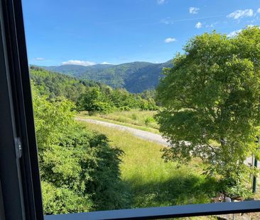 Location Appartement 2 pièces 42m² ST PIERRE ST JEAN 07140 - Photo 6