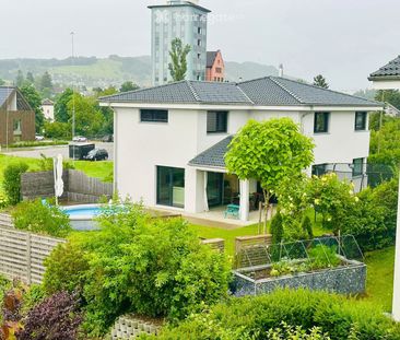 Nachmieter per sofort gesucht - Photo 5