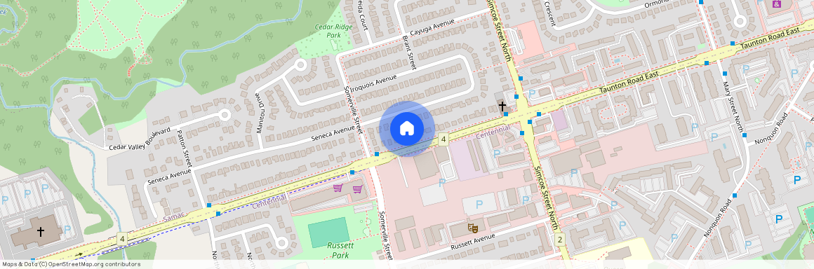 94 Taunton Road Unit# Bsmt, Oshawa