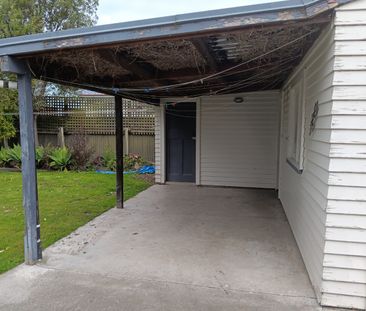 Waipuna Street, Mahora - Photo 2