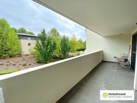 55/15 Braybrooke Street, Bruce ACT 2617 - Apartment For Rent | Domain - Photo 3