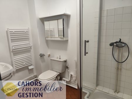 Location Appartement 1 pièce 24m² CAHORS 46000 - Photo 5
