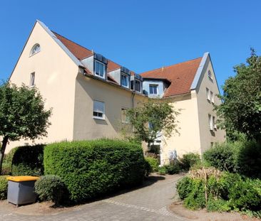 Hübsche 1-Zi-Wohnung mit Laminatboden und Balkon in ruhiger und grü... - Photo 5