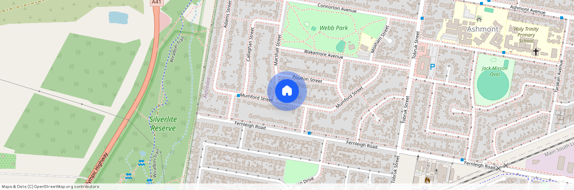 41 Mumford Street, NSW 2650, Ashmont