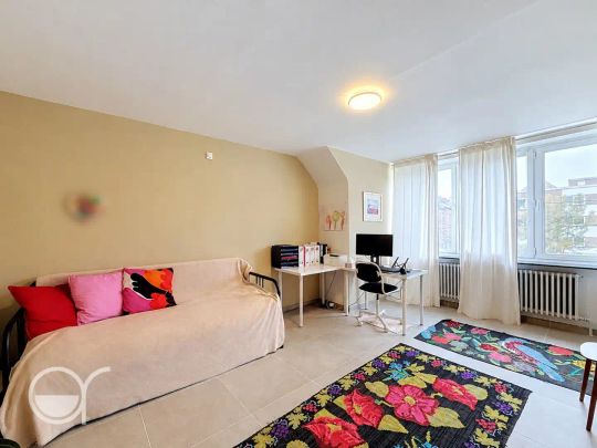 Zeer ruime woning met zicht op water in Gent - foto 1