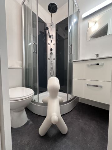 Location Appartement 1 pièce 12m² CLERMONT FERRAND 63000 - Photo 3