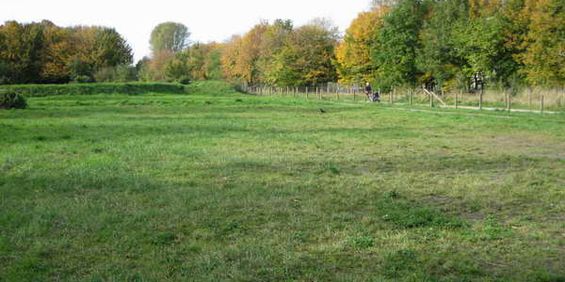 3-Zimmer Wohnung mit Balkon in Sölde! - Photo 3